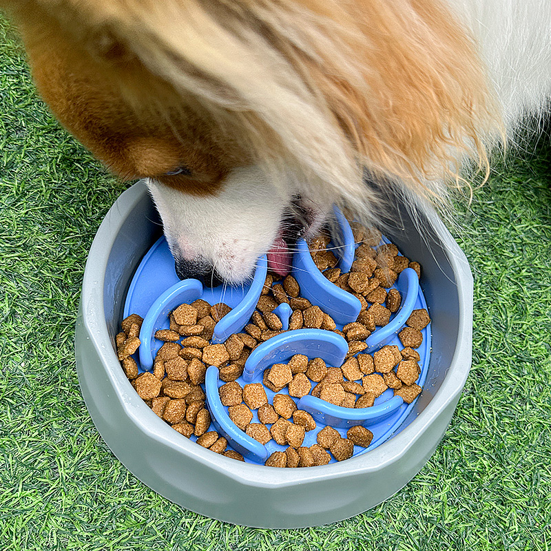 Silicone Dog Slow Bowl