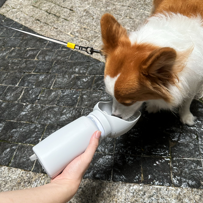 Silicone dog bottle for walk